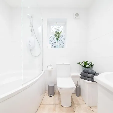 Potter's Wheel, By The *